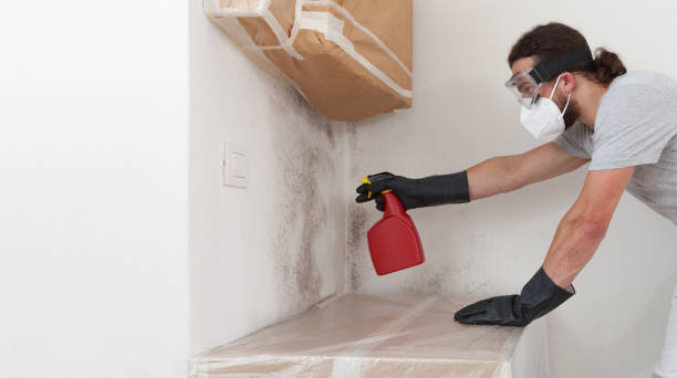 Attic Mold Remediation treatment on roof deck in Pasadena