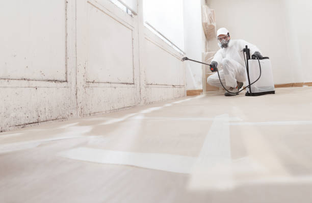 Black mold remediation team in Pasadena